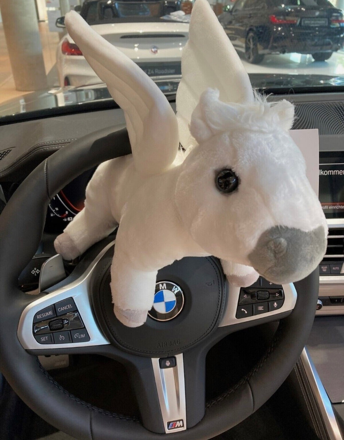 BMW PLUSH PEGASUS